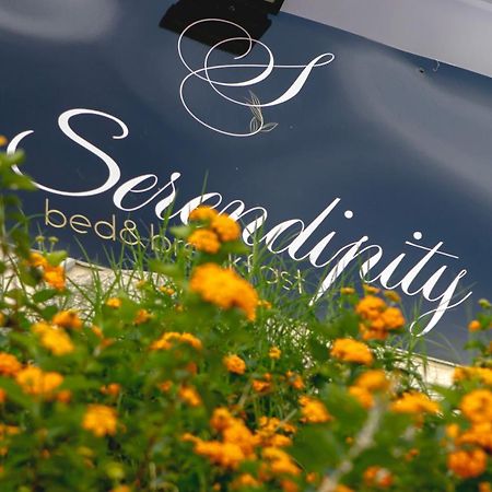 Serendipity B&B Messina Exteriér fotografie
